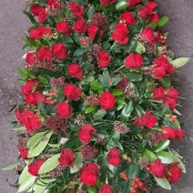 Red Rose Coffin Spray
