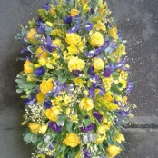 Yellow and purple Coffin Spray